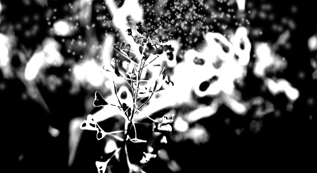 Geskia-Glare-Trigger