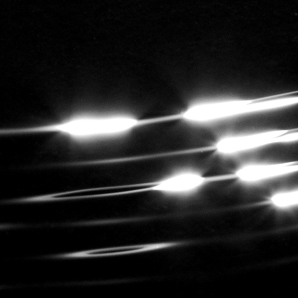 ​ROHS​-​006 CD