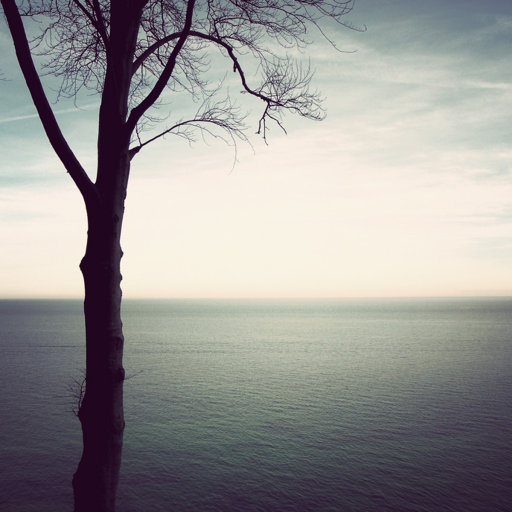 Martin-Nonstatic-Sense of Life
