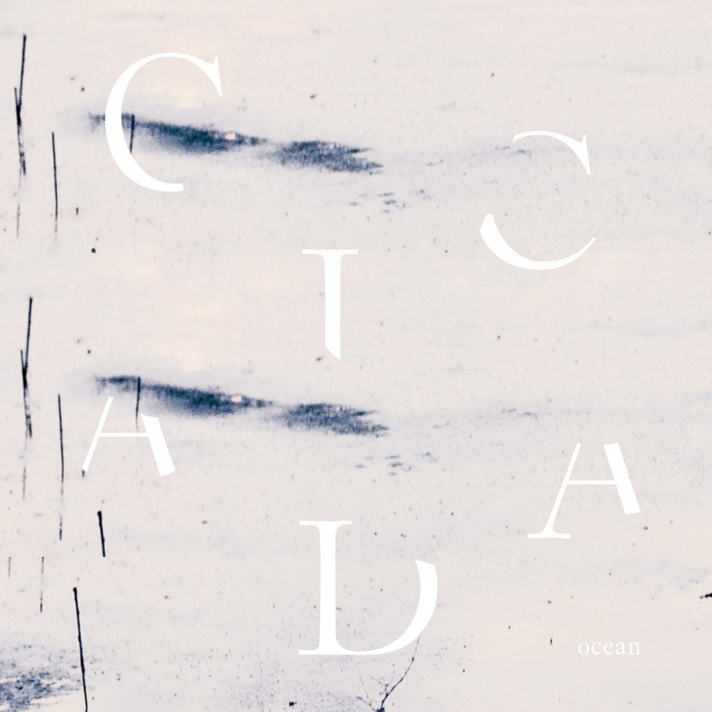 Cicada_cover_final